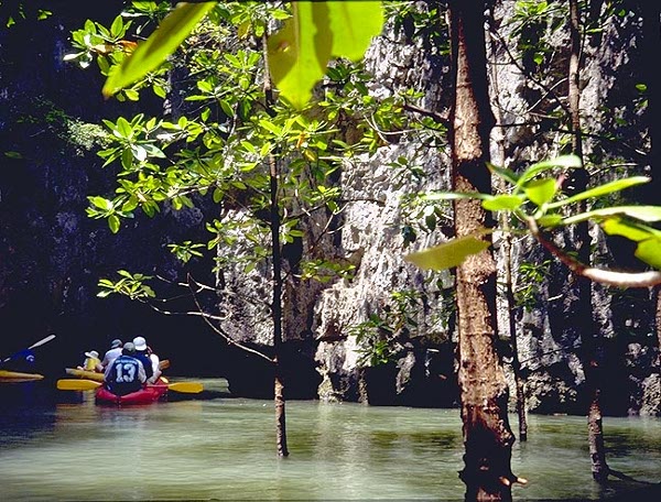 Taking the sea canoe through the mangroves